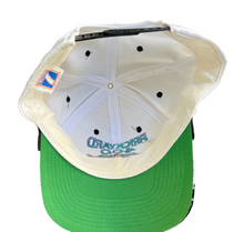 Load image into Gallery viewer, Brickyard 400 August 5, 1995 OSFM hat!
