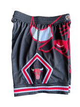 Load image into Gallery viewer, Chicago Bulls NBA Finals 1996 Mitchell &amp; Ness Hardwood Classics Shorts size Large!
